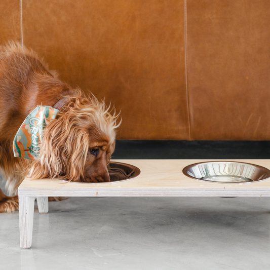 Olly Pet Feeder - Elula Furniture