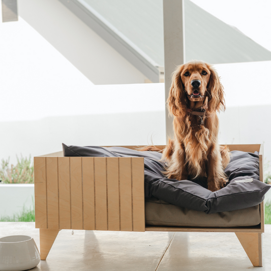Olly Pet Bed - Elula Furniture