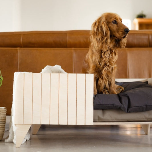 Olly Pet Bed - Elula Furniture