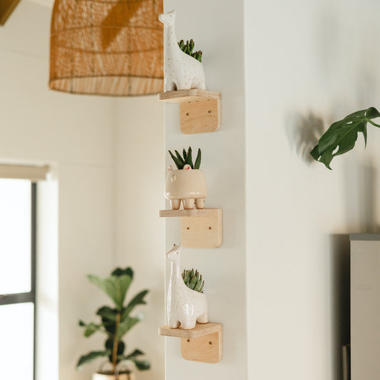 Plant Shelves Set of 3 - Elula Furniture