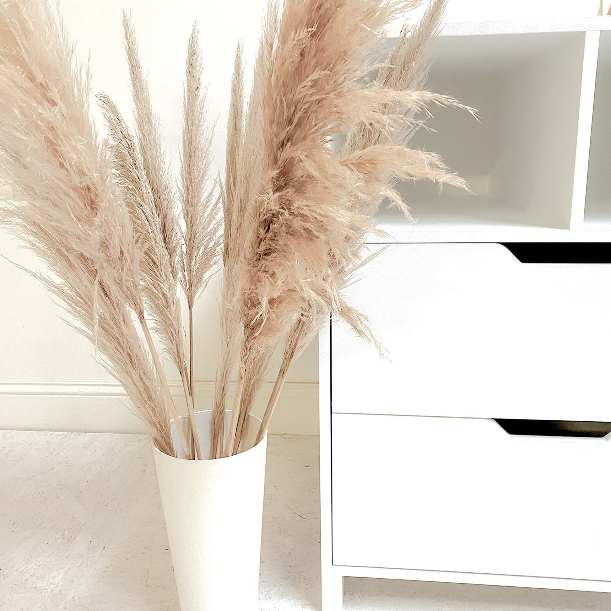 Alex Compactum - Elula Furniture