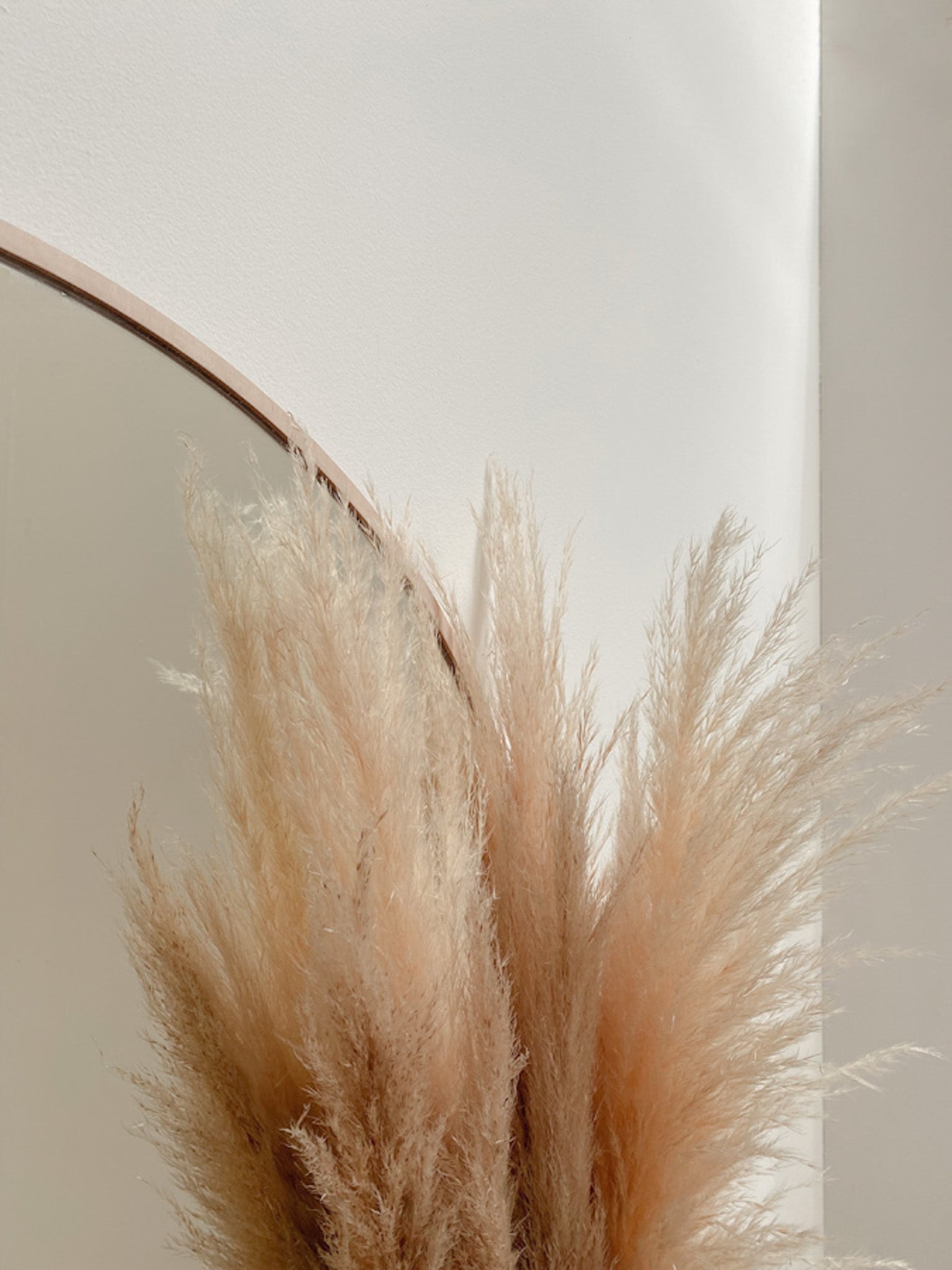 Full Moon Mirror - Elula Furniture