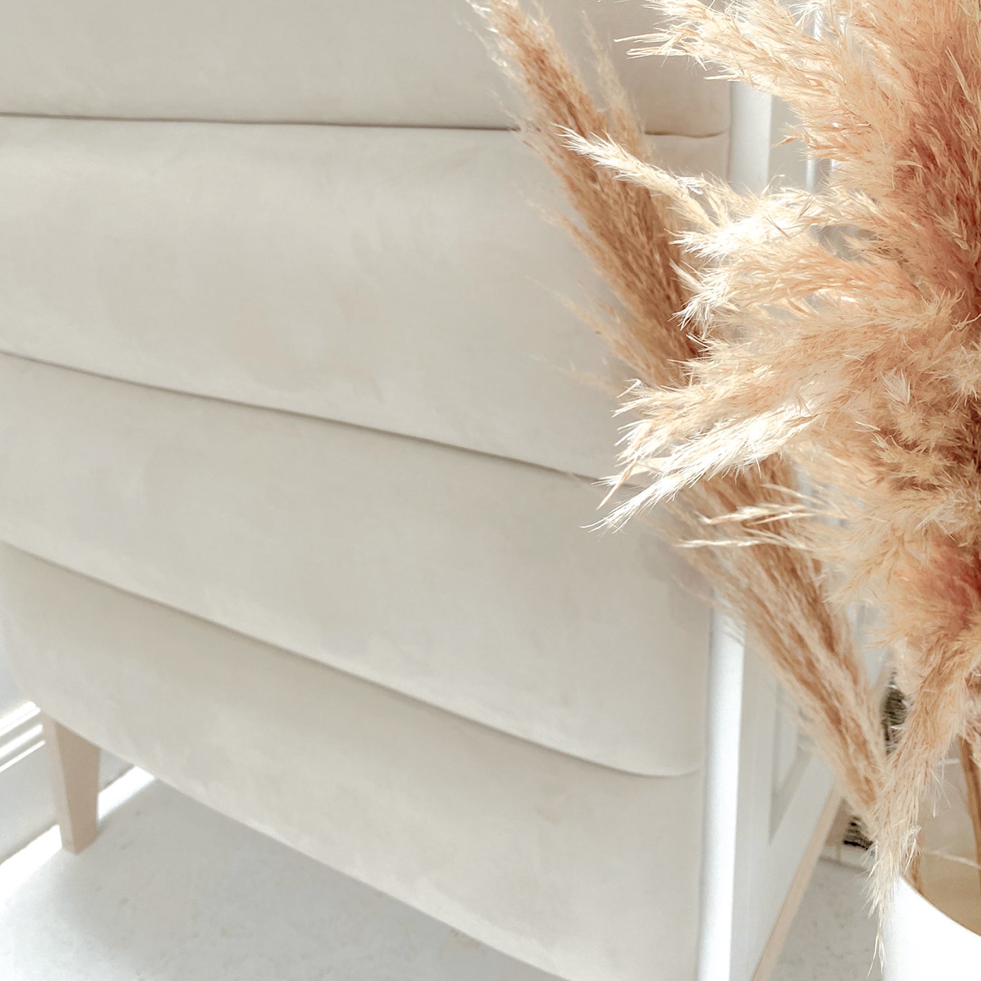 Ivy Cot - Velvet Fabric - Elula Furniture
